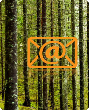 Envelope meaning contact in the middle of a nice forest