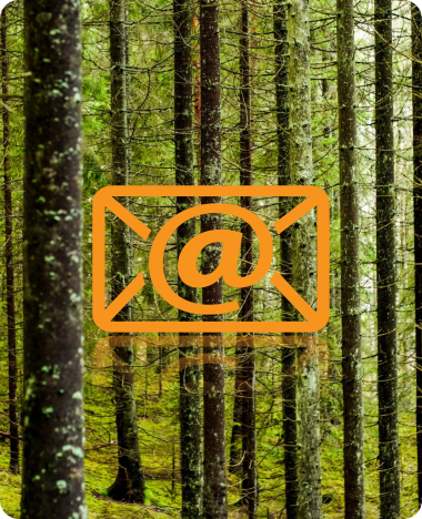 Envelope meaning contact in the middle of a nice forest