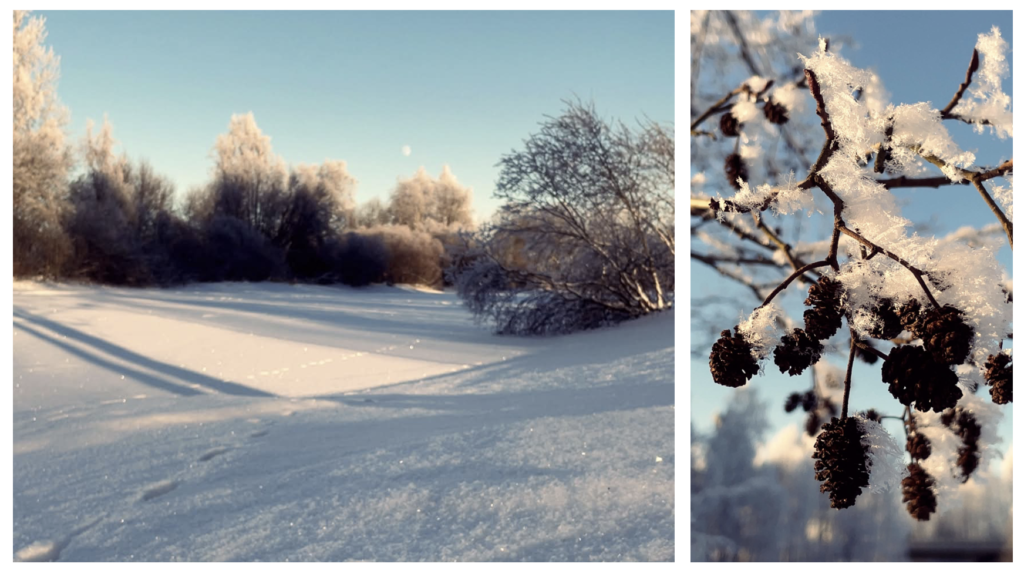 A snowy river and snowy branch