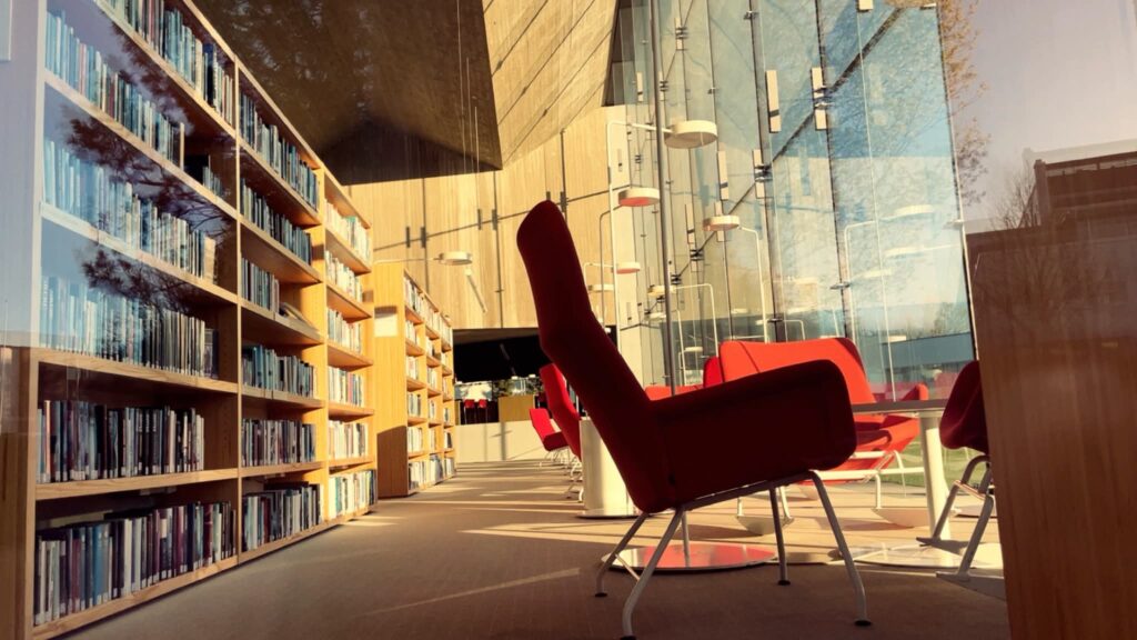 Cozy library armchair in sunlight